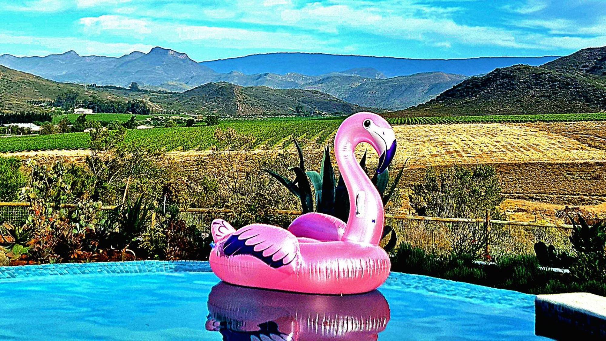 Pjure Boutique Hotel & Spa Montagu Exterior photo