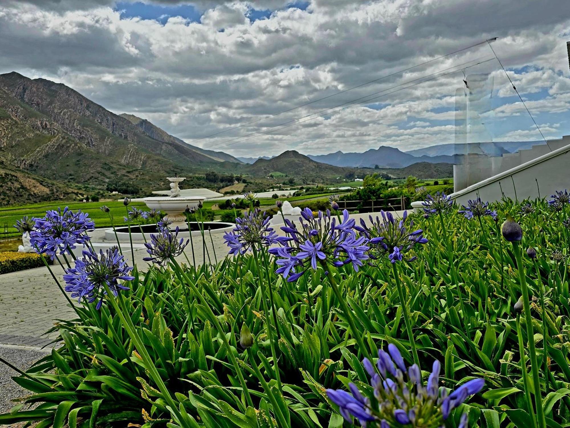 Pjure Boutique Hotel & Spa Montagu Exterior photo