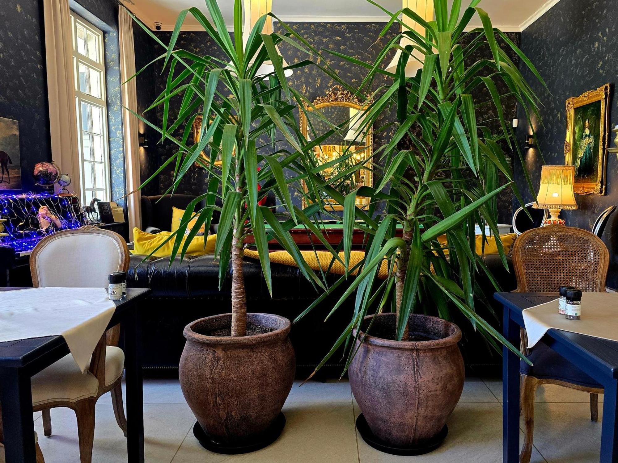 Pjure Boutique Hotel & Spa Montagu Exterior photo